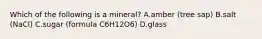 Which of the following is a mineral? A.amber (tree sap) B.salt (NaCl) C.sugar (formula C6H12O6) D.glass