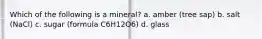 Which of the following is a mineral? a. amber (tree sap) b. salt (NaCl) c. sugar (formula C6H12O6) d. glass