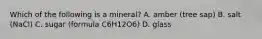 Which of the following is a mineral? A. amber (tree sap) B. salt (NaCl) C. sugar (formula C6H12O6) D. glass