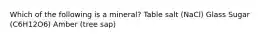 Which of the following is a mineral? Table salt (NaCl) Glass Sugar (C6H12O6) Amber (tree sap)