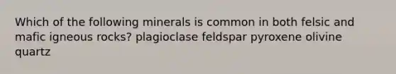 Which of the following minerals is common in both felsic and mafic igneous rocks? plagioclase feldspar pyroxene olivine quartz