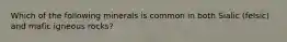 Which of the following minerals is common in both Sialic (felsic) and mafic igneous rocks?