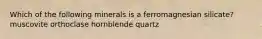 Which of the following minerals is a ferromagnesian silicate? muscovite orthoclase hornblende quartz