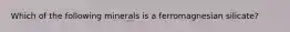 Which of the following minerals is a ferromagnesian silicate?