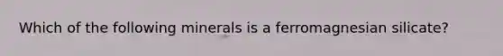 Which of the following minerals is a ferromagnesian silicate?