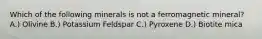 Which of the following minerals is not a ferromagnetic mineral? A.) Olivine B.) Potassium Feldspar C.) Pyroxene D.) Biotite mica