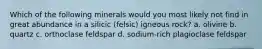 Which of the following minerals would you most likely not find in great abundance in a silicic (felsic) igneous rock? a. olivine b. quartz c. orthoclase feldspar d. sodium-rich plagioclase feldspar