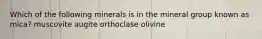 Which of the following minerals is in the mineral group known as mica? muscovite augite orthoclase olivine