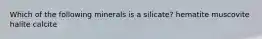 Which of the following minerals is a silicate? hematite muscovite halite calcite