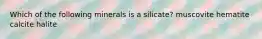 Which of the following minerals is a silicate? muscovite hematite calcite halite