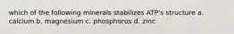 which of the following minerals stabilizes ATP's structure a. calcium b. magnesium c. phosphorus d. zinc