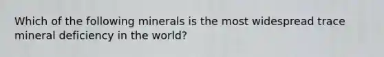 Which of the following minerals is the most widespread trace mineral deficiency in the world?