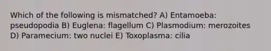 Which of the following is mismatched? A) Entamoeba: pseudopodia B) Euglena: flagellum C) Plasmodium: merozoites D) Paramecium: two nuclei E) Toxoplasma: cilia