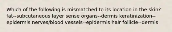 Which of the following is mismatched to its location in the skin? fat--subcutaneous layer sense organs--dermis keratinization--epidermis nerves/blood vessels--epidermis hair follicle--dermis