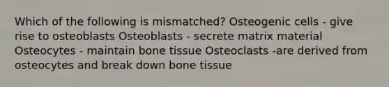 Which of the following is mismatched? Osteogenic cells - give rise to osteoblasts Osteoblasts - secrete matrix material Osteocytes - maintain bone tissue Osteoclasts -are derived from osteocytes and break down bone tissue