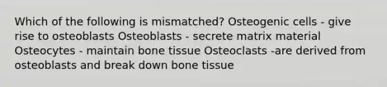 Which of the following is mismatched? Osteogenic cells - give rise to osteoblasts Osteoblasts - secrete matrix material Osteocytes - maintain bone tissue Osteoclasts -are derived from osteoblasts and break down bone tissue