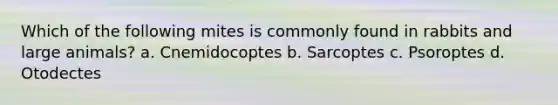 Which of the following mites is commonly found in rabbits and large animals? a. Cnemidocoptes b. Sarcoptes c. Psoroptes d. Otodectes