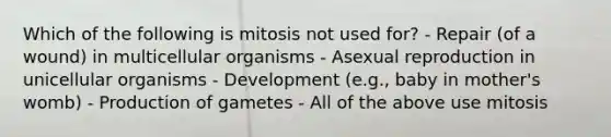 Which of the following is mitosis not used for? - Repair (of a wound) in multicellular organisms - Asexual reproduction in unicellular organisms - Development (e.g., baby in mother's womb) - Production of gametes - All of the above use mitosis