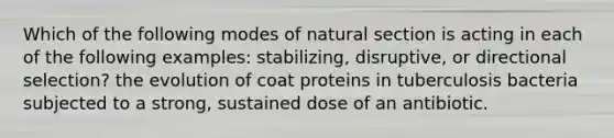 Which of the following modes of natural section is acting in each of the following examples: stabilizing, disruptive, or directional selection? the evolution of coat proteins in tuberculosis bacteria subjected to a strong, sustained dose of an antibiotic.