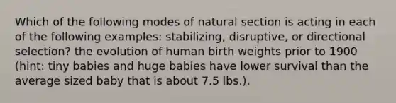 Which of the following modes of natural section is acting in each of the following examples: stabilizing, disruptive, or directional selection? the evolution of human birth weights prior to 1900 (hint: tiny babies and huge babies have lower survival than the average sized baby that is about 7.5 lbs.).