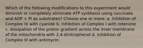 Which of the following modifications to this experiment would diminish or completely eliminate ATP synthesis using succinate and ADP + Pi as substrates? Choose one or more: a. inhibition of Complex IV with cyanide b. inhibition of Complex I with rotenone c. dissipation of the proton gradient across the inner membrane of the mitochondria with 2,4-dinitrophenol d. inhibition of Complex III with antimycin