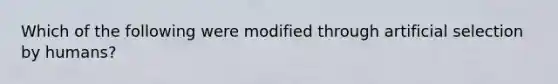 Which of the following were modified through artificial selection by humans?