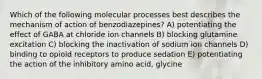 Which of the following molecular processes best describes the mechanism of action of benzodiazepines? A) potentiating the effect of GABA at chloride ion channels B) blocking glutamine excitation C) blocking the inactivation of sodium ion channels D) binding to opioid receptors to produce sedation E) potentiating the action of the inhibitory amino acid, glycine