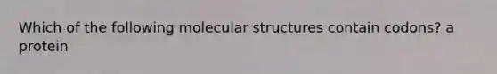 Which of the following molecular structures contain codons? a protein