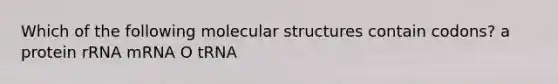 Which of the following molecular structures contain codons? a protein rRNA mRNA O tRNA