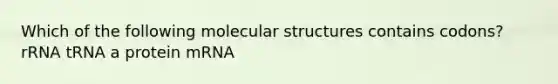 Which of the following molecular structures contains codons? rRNA tRNA a protein mRNA