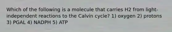 Which of the following is a molecule that carries H2 from light-independent reactions to the Calvin cycle? 1) oxygen 2) protons 3) PGAL 4) NADPH 5) ATP