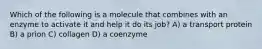 Which of the following is a molecule that combines with an enzyme to activate it and help it do its job? A) a transport protein B) a prion C) collagen D) a coenzyme