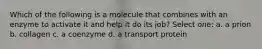 Which of the following is a molecule that combines with an enzyme to activate it and help it do its job? Select one: a. a prion b. collagen c. a coenzyme d. a transport protein