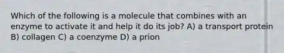 Which of the following is a molecule that combines with an enzyme to activate it and help it do its job? A) a transport protein B) collagen C) a coenzyme D) a prion