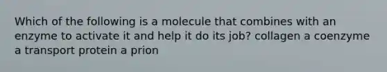 Which of the following is a molecule that combines with an enzyme to activate it and help it do its job? collagen a coenzyme a transport protein a prion