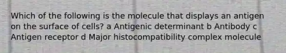 Which of the following is the molecule that displays an antigen on the surface of cells? a Antigenic determinant b Antibody c Antigen receptor d Major histocompatibility complex molecule