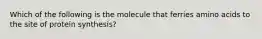 Which of the following is the molecule that ferries amino acids to the site of protein synthesis?