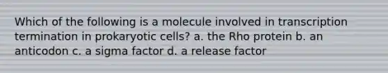 Which of the following is a molecule involved in transcription termination in <a href='https://www.questionai.com/knowledge/k1BuXhIsgo-prokaryotic-cells' class='anchor-knowledge'>prokaryotic cells</a>? a. the Rho protein b. an anticodon c. a sigma factor d. a release factor