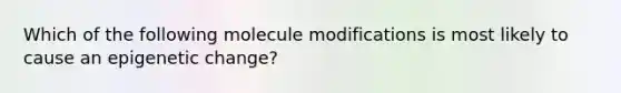 Which of the following molecule modifications is most likely to cause an epigenetic change?