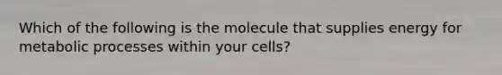 Which of the following is the molecule that supplies energy for metabolic processes within your cells?