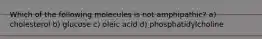 Which of the following molecules is not amphipathic? a) cholesterol b) glucose c) oleic acid d) phosphatidylcholine