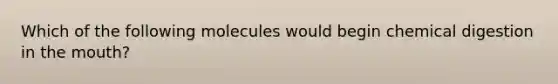 Which of the following molecules would begin chemical digestion in the mouth?