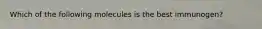 Which of the following molecules is the best immunogen?