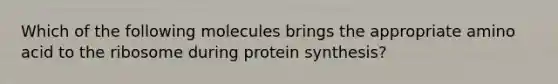 Which of the following molecules brings the appropriate amino acid to the ribosome during protein synthesis?