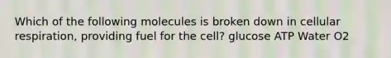 Which of the following molecules is broken down in cellular respiration, providing fuel for the cell? glucose ATP Water O2