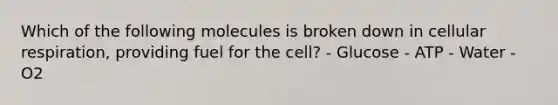 Which of the following molecules is broken down in cellular respiration, providing fuel for the cell? - Glucose - ATP - Water - O2