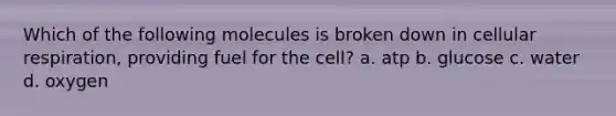 Which of the following molecules is broken down in cellular respiration, providing fuel for the cell? a. atp b. glucose c. water d. oxygen