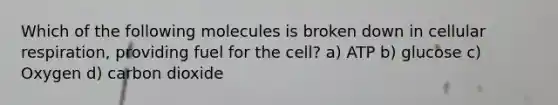 Which of the following molecules is broken down in <a href='https://www.questionai.com/knowledge/k1IqNYBAJw-cellular-respiration' class='anchor-knowledge'>cellular respiration</a>, providing fuel for the cell? a) ATP b) glucose c) Oxygen d) carbon dioxide