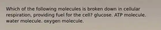 Which of the following molecules is broken down in cellular respiration, providing fuel for the cell? glucose. ATP molecule. water molecule. oxygen molecule.