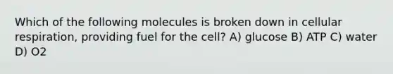 Which of the following molecules is broken down in cellular respiration, providing fuel for the cell? A) glucose B) ATP C) water D) O2